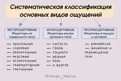 Презентация Ощущения психология | Презентации Психология | Docsity