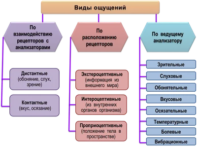 Ощущения – творец нашей индивидуальности | Сайт психологов  | Дзен