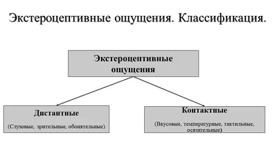 Презентация по психологии "Ощущения, восприятия, представление, и их  изменение у инвалидов и лиц пожилого возраста"