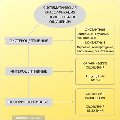 Ощущения. Что это такое и почему они важны | Психолог Марина Санго | Дзен