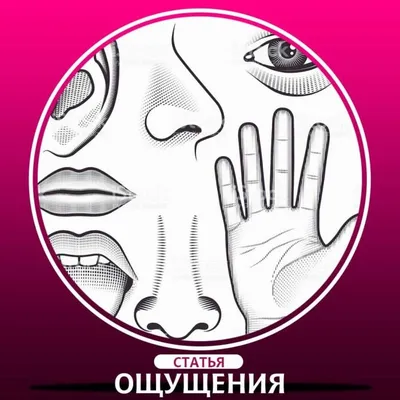 Классификация ощущений | Юлия Доршакова | Дзен