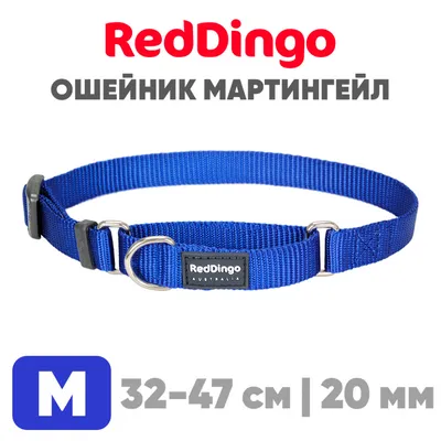 Waudog Waterproof Leash - водостойкий поводок для собак