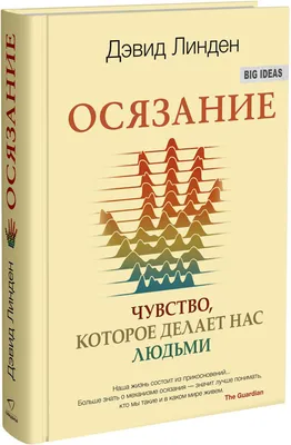 Слышать кожей. Как осязание влияет на слух (и заменяет его) | StP: звук и  тишина | Дзен