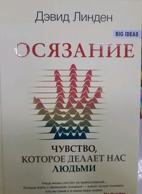 Набор Из 5 Чувств: Обоняние, Осязание, Слух, Вкус И Зрение (нос, Губы,  Глаза, Ухо И Рука) Векторные Иллюстрации Клипарты, SVG, векторы, и Набор  Иллюстраций Без Оплаты Отчислений. Image 88896943