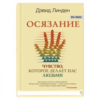 Мультфильм Иллюстрации, Изображающие 5 Чувств Обоняние, Осязание, Слух,  Вкус И Зрение Клипарты, SVG, векторы, и Набор Иллюстраций Без Оплаты  Отчислений. Image 26573902