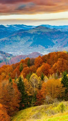 Скачать обои и картинки осень, листья, деревья, вода, отражение для  рабочего стола в разрешении 2048x1152