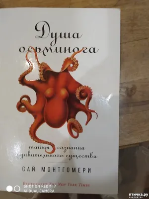 Сай Монтгомери: "Душа осьминога: тайны сознания удивительного существа" —  обсуждение в группе "Книги про животных" | Птичка.ру