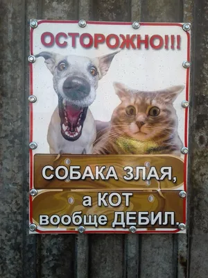 Таблички на калитку для собак — купить по низкой цене на Яндекс Маркете