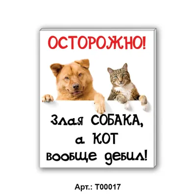 Наклейка 300х200мм "Осторожно! Злая собака, а кот..", Арт рэйсинг - купить  с доставкой по выгодным ценам в интернет-магазине OZON (936957339)