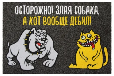 Табличка, осторожно злая собака и кот, прикол,18см х 25см, на дверь, на  забор, 25 см, 18 см - купить в интернет-магазине OZON по выгодной цене  (1185703484)