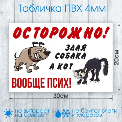 Декоративная деревянная табличка "Злая собака, а кот вообще дебил"  38см*21см, табличка, постер, сувенир, подарок | AliExpress