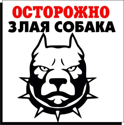 Табличка из светящего металла Собака злая а кот вообще дебил неоновая  светится в темноте ночью (ID#1572746856), цена: 1696 ₴, купить на 