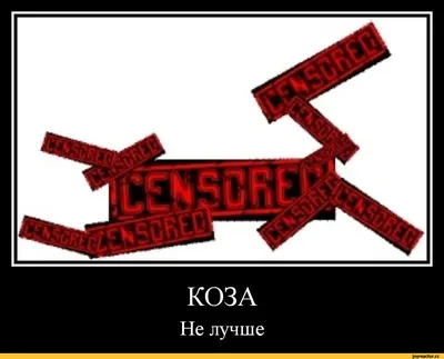 Осторожно: во дворе «злая собака, злые хозяева, а кот… вообще дебил» »  Суспільно – політична газета "СЛОВО"