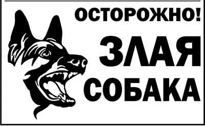 Табличка ПВХ информационный знак «Осторожно Злая Собака» АБК-СИЛА 200x200мм  5шт 560411 - выгодная цена, отзывы, характеристики, фото - купить в Москве  и РФ