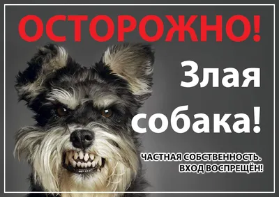 Табличка (200 х 140 мм) "Осторожно! Злая собака". Минимальный заказ - 3 шт.  (Цена указана за 1 шт.) (ID#112123409), цена: 20 руб., купить на 