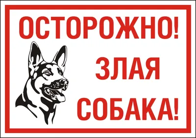 Купить Табличка "Осторожно, злая собака" цвет в ассортименте, круглая в  интернет магазине Металлпрогресс