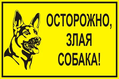 Купить Табличка Осторожно злая собака 300*200 мм 📄 с доставкой по Беларуси  | интернет-магазин 