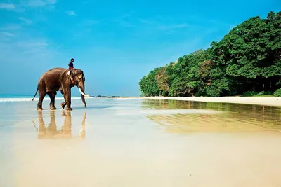 🇮🇳 Гоа – это индийский штат, который по праву назван одним из лучших  мировых курортов. За годы своего функционирования сервис штата Гоа… |  Instagram