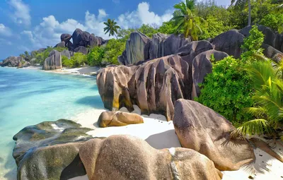 Обои море, камни, пальмы, океан, скалы, Сейшельские острова, остров Ла-Диг  картинки на рабочий стол, раздел пейзажи - скачать