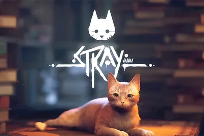 Красивое": обзор Stray - самой кошачьей игры в мире - Российская газета