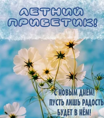 Ура!У меня тоже каникулы,но на два дня... | Лариса Васильева@,,Lissa,, ,  истории из жизни ИПэшника . | Дзен