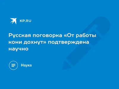 От работы дохнут кони, ну а я бессмертный пони кружка хамелеон двухцветная  (цвет: белый + розовый) | Все футболки интернет магазин футболок.  Дизайнерские футболки, футболки The Mountain, Yakuza, Liquid Blue