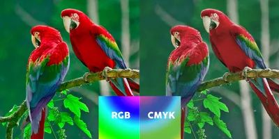 Различия цветовых моделей RGB и CMYK. Или почему напечатанная картинка  отличается от изображения на экране монитора. - Esadigital