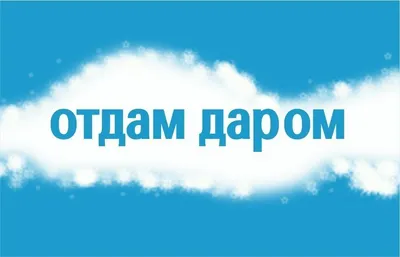 Отдам даром. Рассказываем, где переселенцы могут найти одежду, обувь и  другие вещи бнсплатно – Свої.City