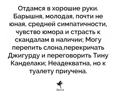 С Новым годом или отдамся в хорошие руки. | Счастье ЕСТЬ. | Дзен