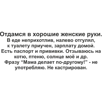 Отдамся в хорошие руки, 2009 — описание, интересные факты — Кинопоиск