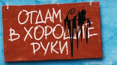 Фильм «Отдамся в хорошие руки» 2008: актеры, время выхода и описание на  Первом канале / Channel One Russia