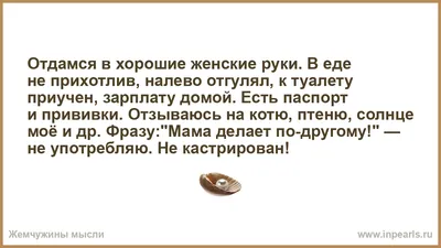 Фильм «Отдамся в хорошие руки» 2008: актеры, время выхода и описание на  Первом канале / Channel One Russia