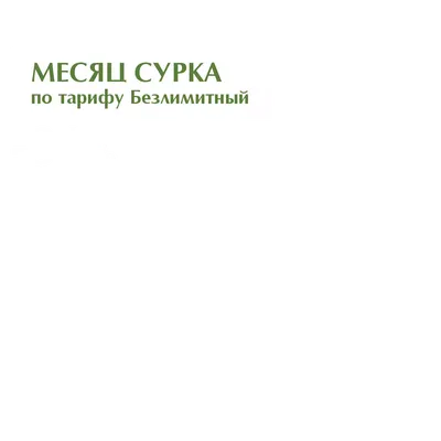 Открытки хорошей субботы - Праздники сегодня | Субботы, Смешные открытки,  Открытки