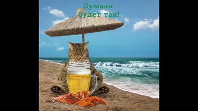 Приколы и юмор! Прикольные фото про море, пляжи, отдых и туристов!  🌴ЛАЗАРЕВСКОЕ СЕГОДНЯ🌴СОЧИ. | Лазаревское сегодня | Дзен