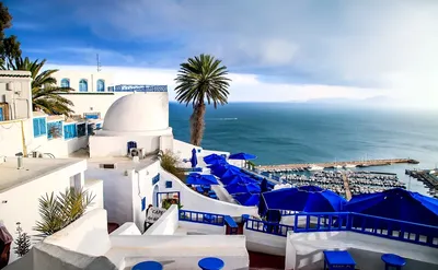 Отдых в Тунисе. Все что нужно знать о Тунисе: климат, курорты, кухня, виза