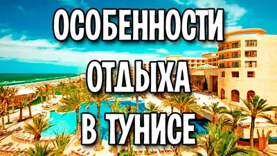 Все больше российских туристов выбирают отдых в Тунисе - 