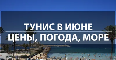 Когда дешевле отдыхать в Тунисе? - Крылья - Все об украинской авиации