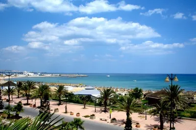 Отдых в Тунисе - Лана тур - дешевые авиабилеты и горящие путевки по низким  ценам