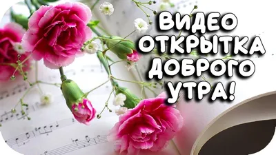 Доброе утро красивые картинки. 120 новых открыток с добрым утром. | Доброе  утро, Картинки, Смешные открытки