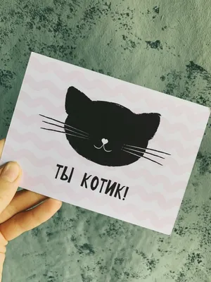 Веселые котики и пончики: 4 открытки для дня рождения или посткроссинга —  купить в интернет-магазине по низкой цене на Яндекс Маркете