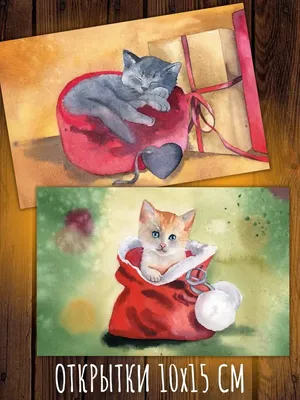 Акварельные котики 8 - почтовая открытка