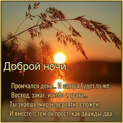 Картинки "Спокойной ночи!" (2829 шт.)