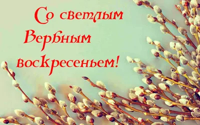 С праздником Вербное воскресенье | Праздник, Рождественские изображения,  Праздничные открытки