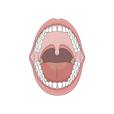 Мультяшный открытый рот - 60 фото