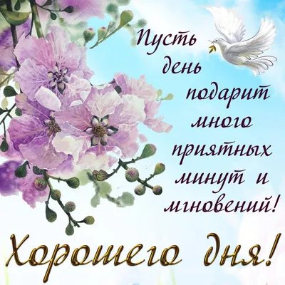 С добрым утром, желаем отличного дня!... | С добрым утром, желаем отличного  дня! пожелания, Новости Казахстана - свежие новости РК КЗ на сегодня |  