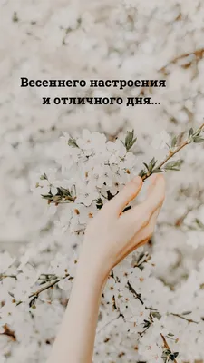 Весеннего настроения и отличного дня....