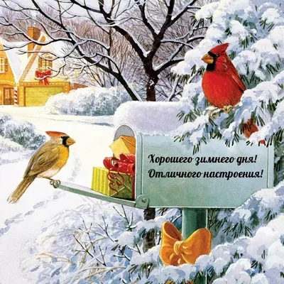 Хорошего зимнего дня - новые красивые открытки (53 ФОТО) | Открытки,  Счастливые картинки, Милые открытки