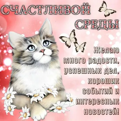 Отличной Вам Среды! | Доброе утро, Среда, Осень