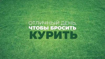 Мотиватор Сегодня отличный день для совершения подвига, вперед! купить с  доставкой