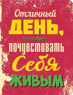 Отличный день чтобы почувствовать себя живым купить в интернет-магазине |  978-5-699-75953-8 | Эксмо